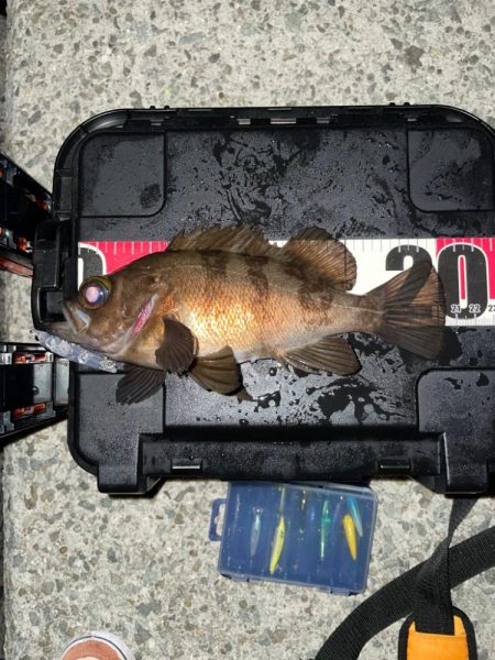 めっちゃ引いたわか