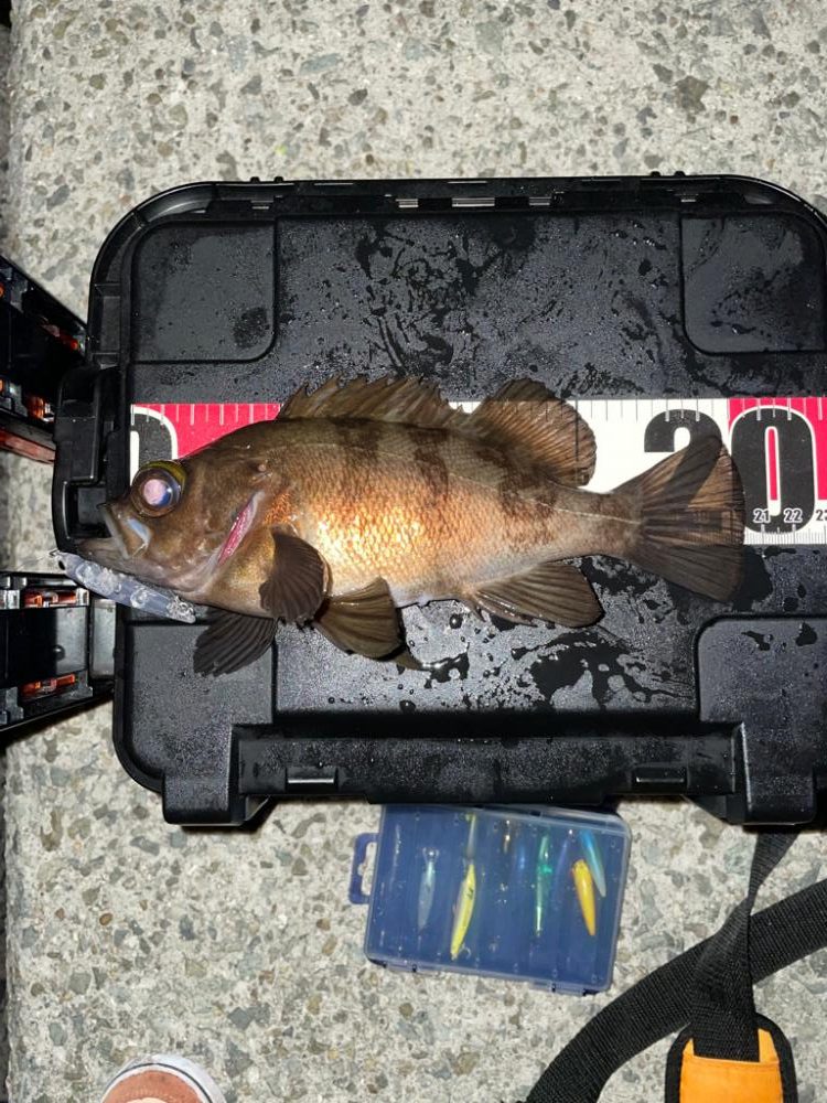 めっちゃ引いたわか