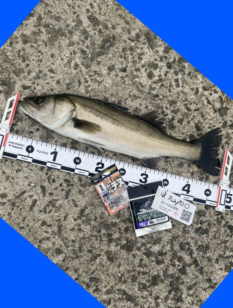 釣り日和の良い天気