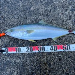 万次郎でビッグスプラッシュ!