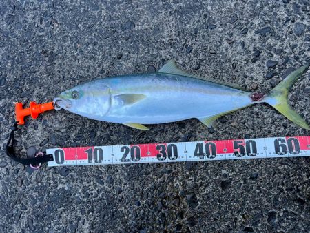 万次郎でビッグスプラッシュ！