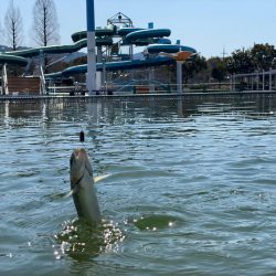 亀岡　かめプー　かめぷー