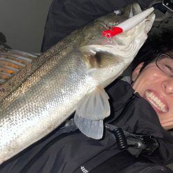 新河岸川シーバス