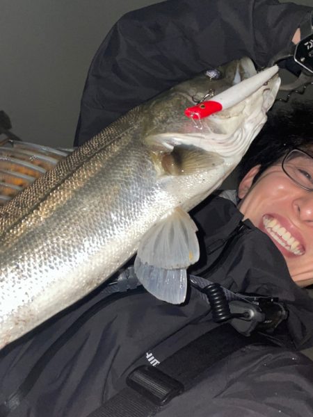 新河岸川シーバス