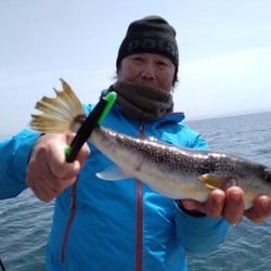 デカフグダービー参戦