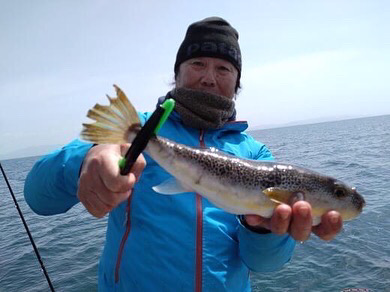 デカフグダービー参戦