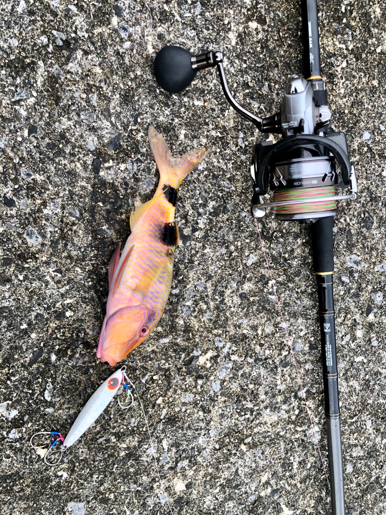 奄美釣り旅2日目