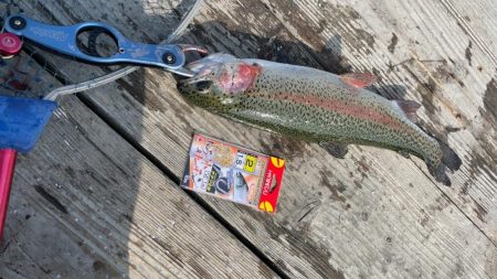 釣堀水宝に行って来ました！