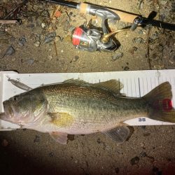 春バス2連発！！