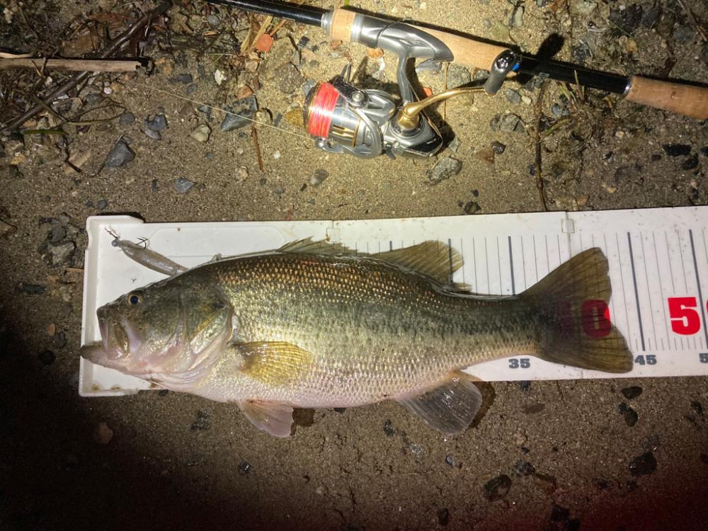 春バス2連発！！