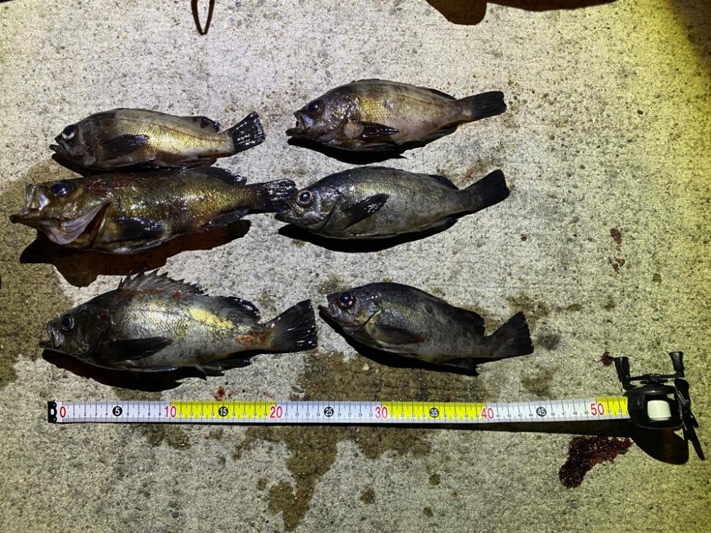 淡路島メバリング2