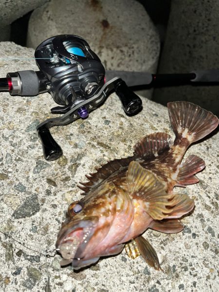 ロックフィッシュ