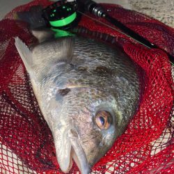 ヘチってきました