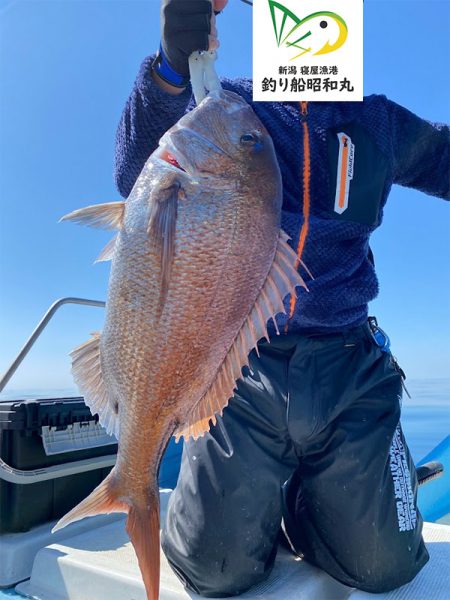 3/30ルアー真鯛釣りは大鯛デー