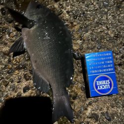 寒いのでワンドで五目