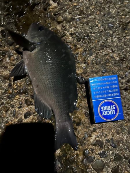 寒いのでワンドで五目