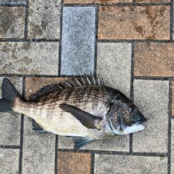 春の陽気でエビ撒き
