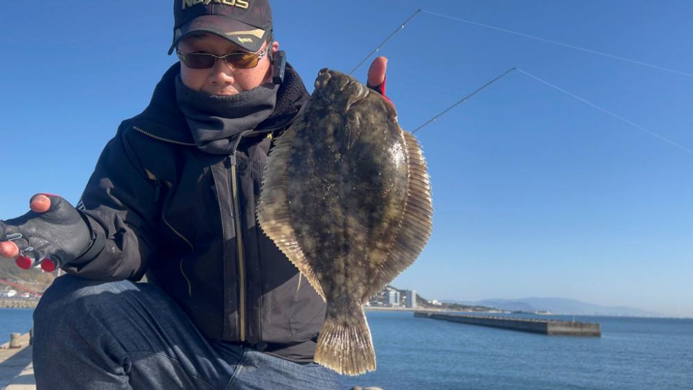 淡路島の春カレイ