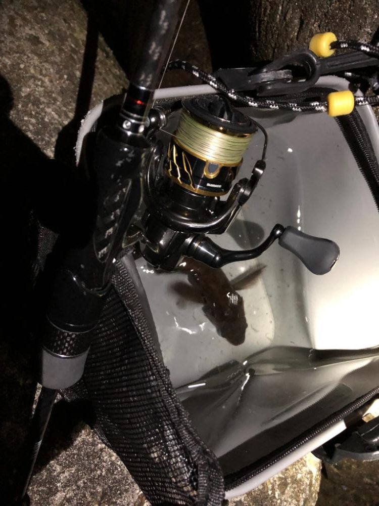 3連続坊主からの脱出