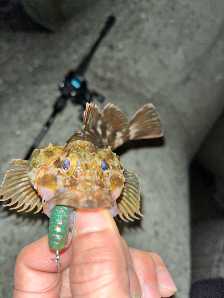 ロックフィッシュ