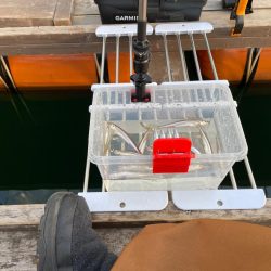 今シーズンラストワカサギ釣りへ 生野銀山湖…