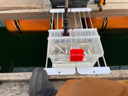 今シーズンラストワカサギ釣りへ 生野銀山湖…