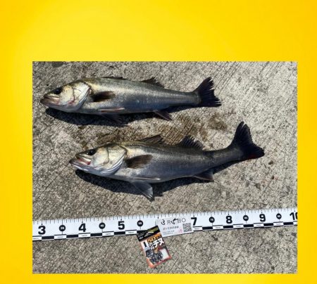 ウキがゆっくり沈み込む