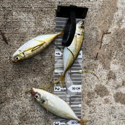 のんびり堤防でフカセ