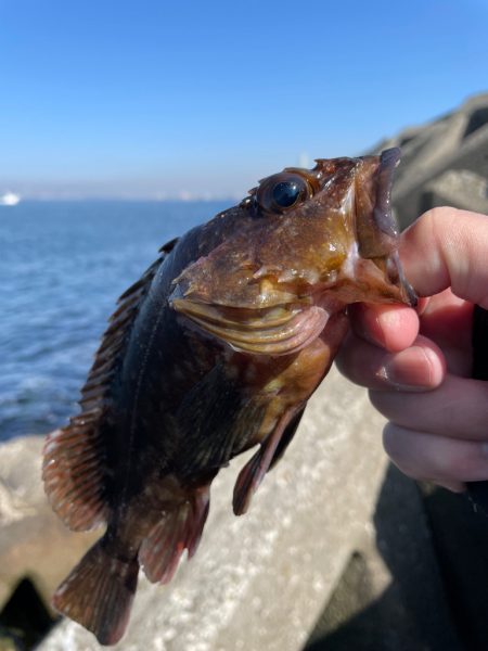 帰ってきた穴釣りNo.8