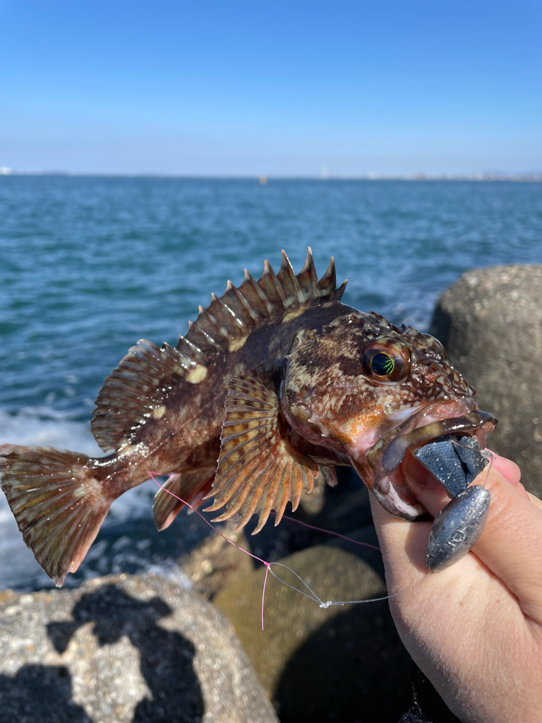 帰ってきた穴釣りNo.7