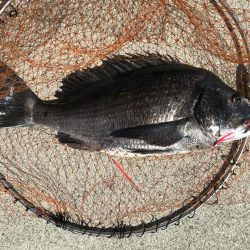 竿を飛ばしたのは