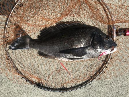 竿を飛ばしたのは