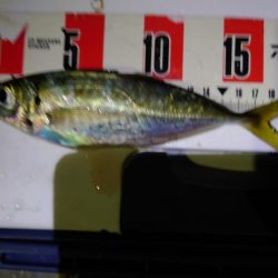 アウェイの洗礼