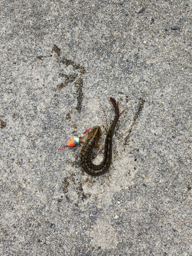 ひさしぶりの淡路島