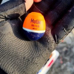 和歌山市江(吉丸渡船)で磯フカセ