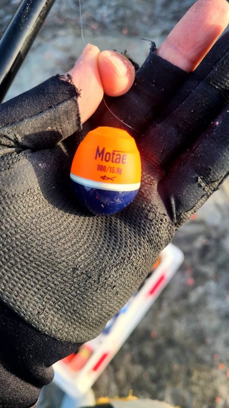 和歌山市江(吉丸渡船)で磯フカセ