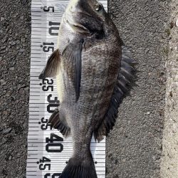 イチノ兄弟(兄)釣果!