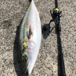 寝坊からのブルーランナー