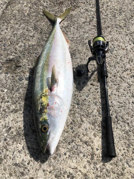 寝坊からのブルーランナー