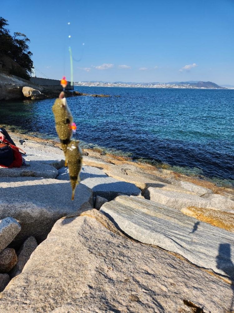 チビーズがたくさん