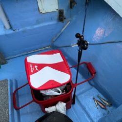 天草でコウイカ初挑戦してきました