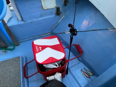 天草でコウイカ初挑戦してきました