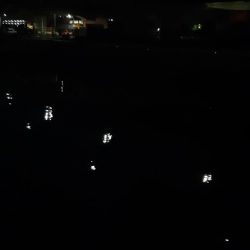 約一年ぶりに。