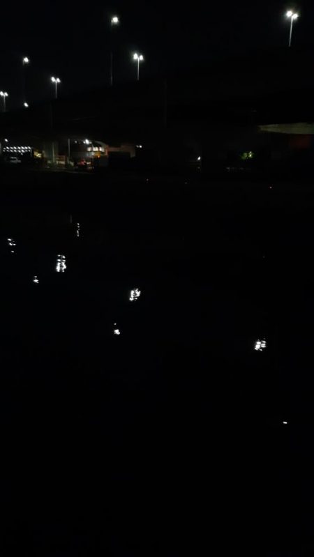 約一年ぶりに。