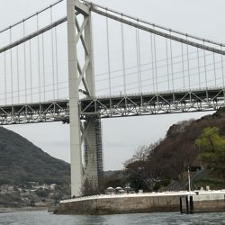 春の関門にアラカブ狙って行って来ました