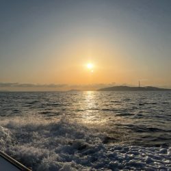 シーズン最終のカワハギ釣りでした