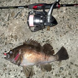 メバリングです