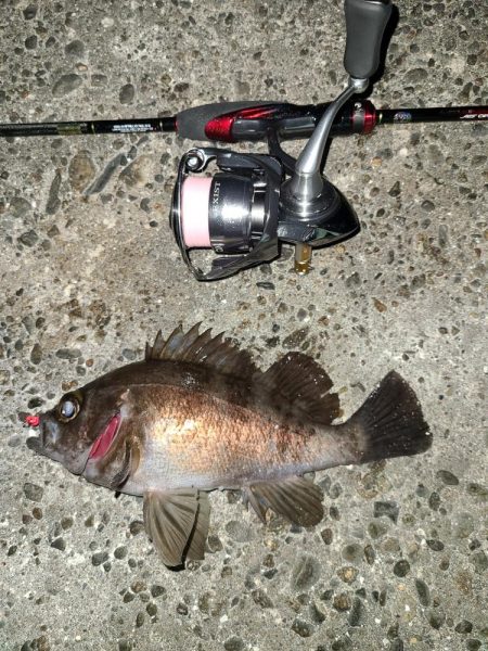 メバリングです