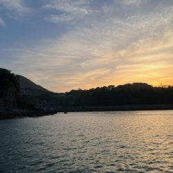 二度目の天草コウイカ釣りに行って来ました