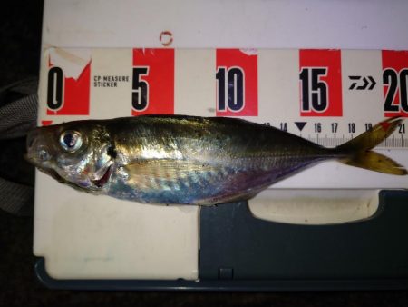 ポンポンパンパン